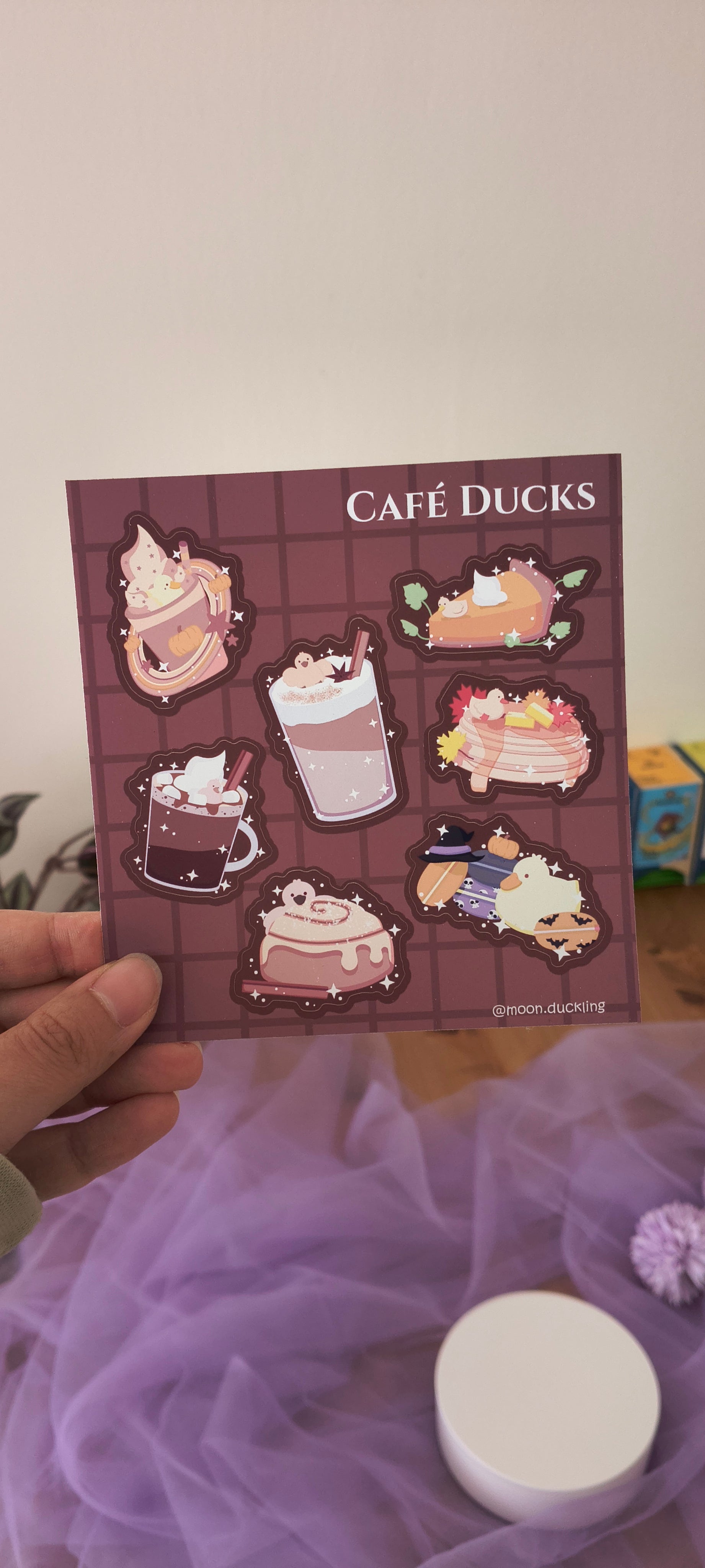 Café Ducks