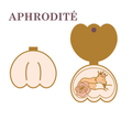 [PREORDER] Aphrodite
